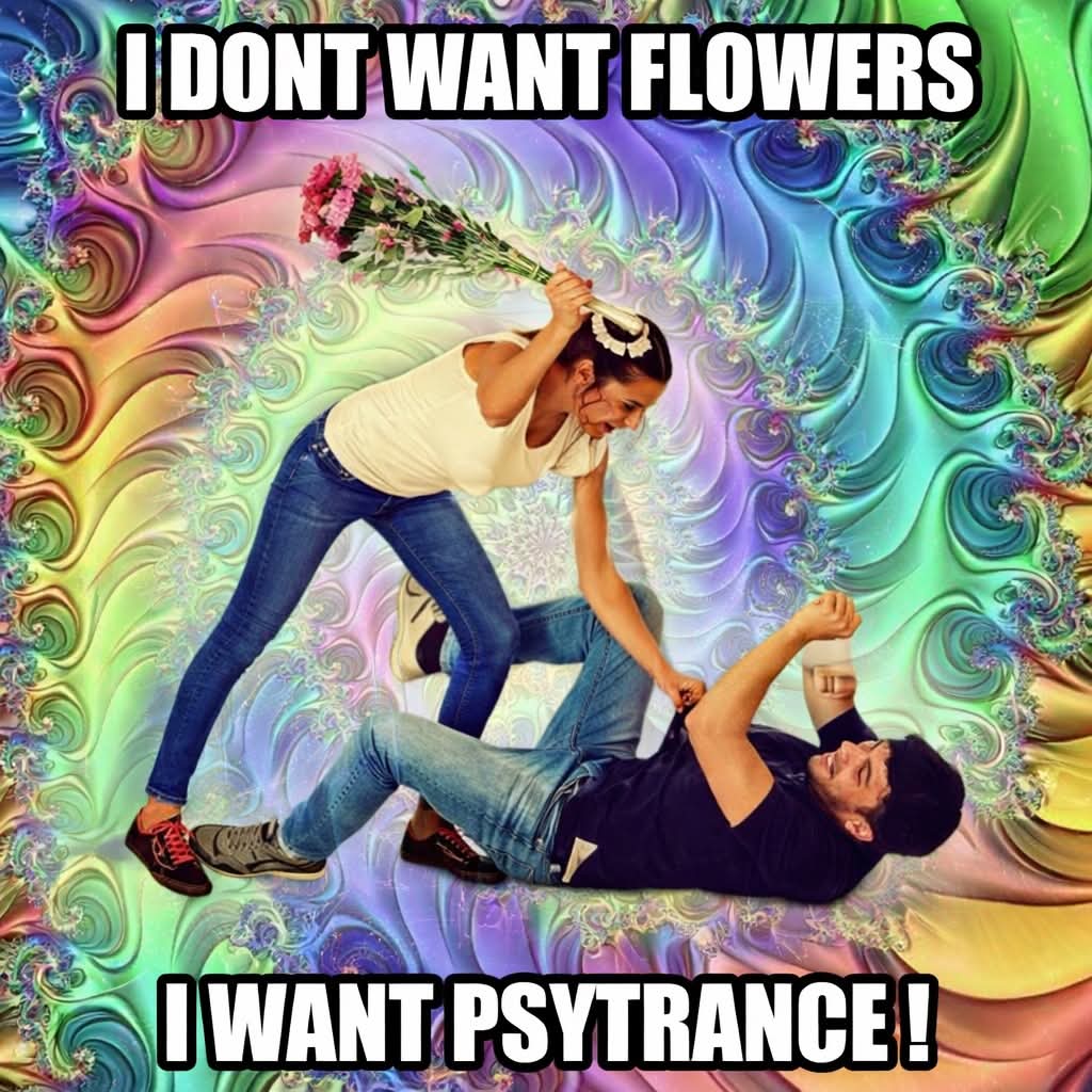 Psicodelicats part y